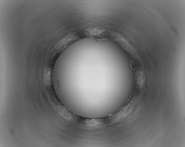 X0000110950378200906261325