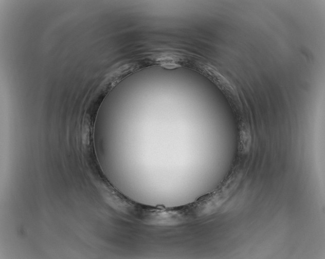 X0000110950379200906261325