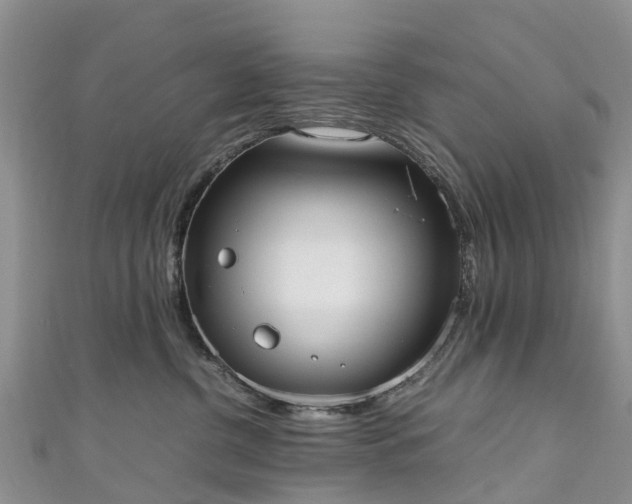 X0000110950380200906261325