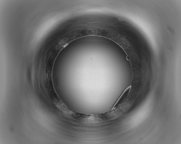 X0000110950382200906261326