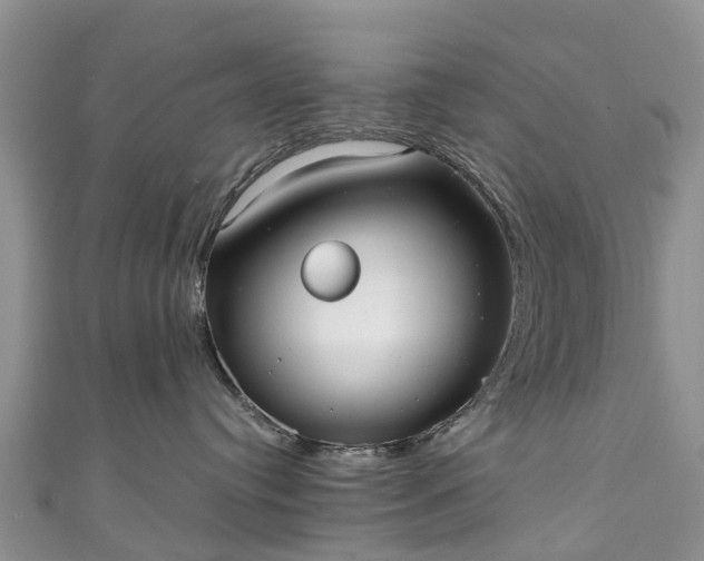 X0000110950384200906261326