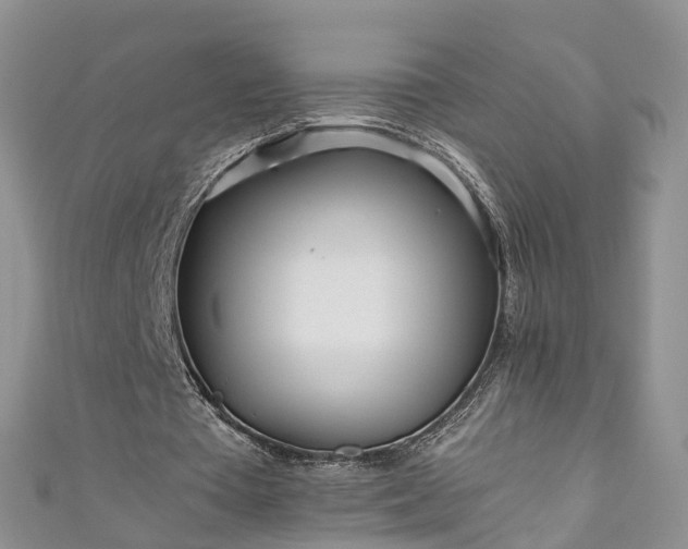 X0000110950385200906261325