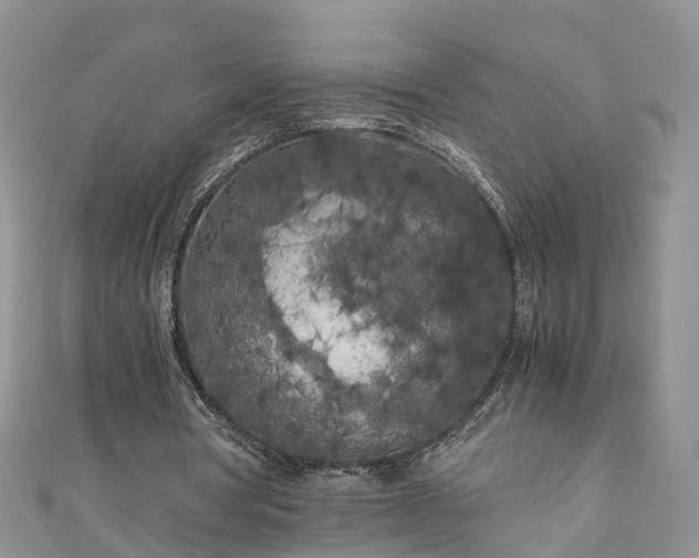 X0000110950386200906261325