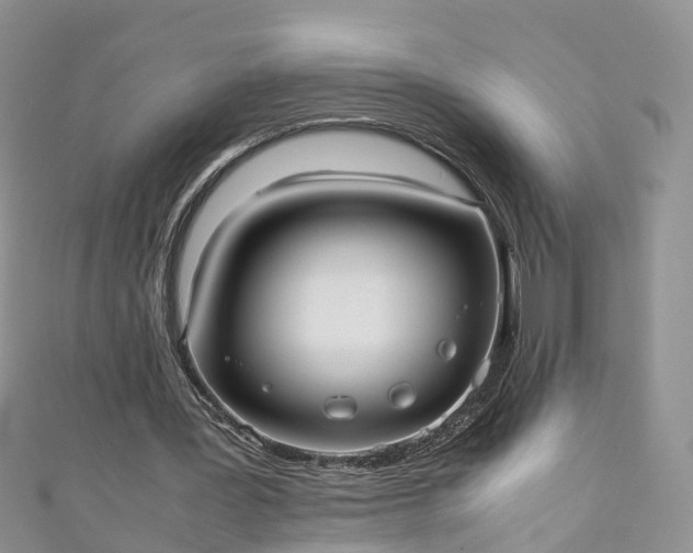 X0000110950387200906261325