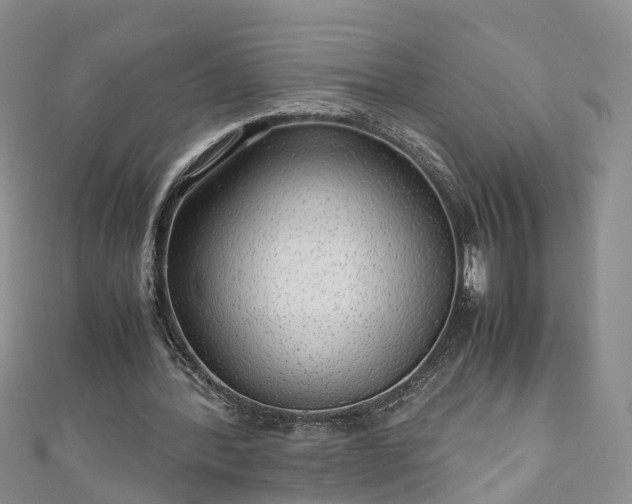 X0000110950388200906261325