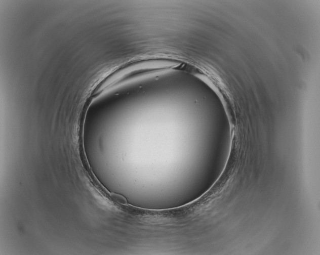 X0000110950389200906261325