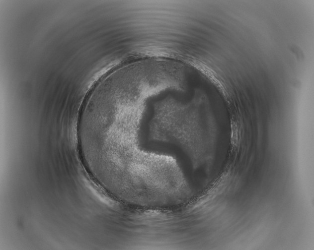 X0000110950390200906261325