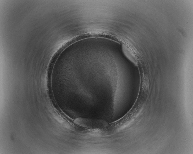 X0000110950391200906261325