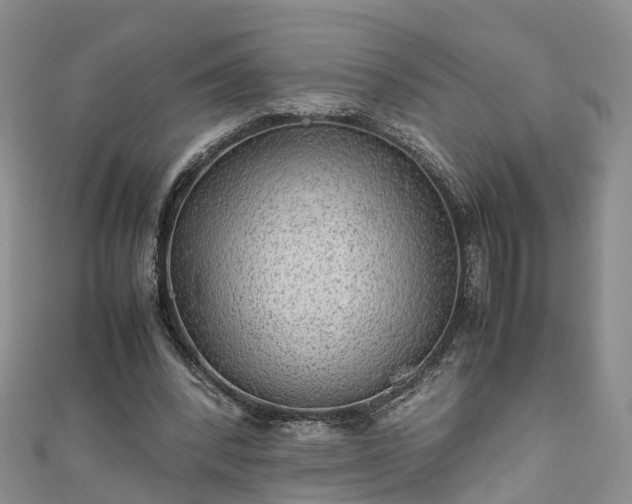 X0000110950392200906261325