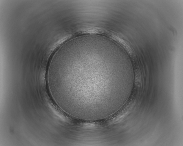 X0000110950394200906261325