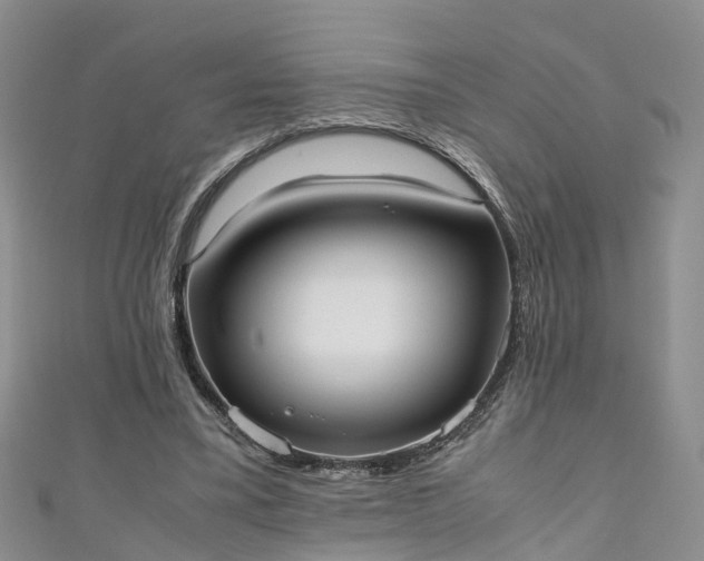 X0000110950395200906261325