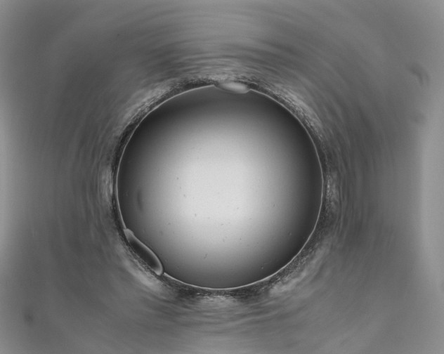 X0000110950397200906261325