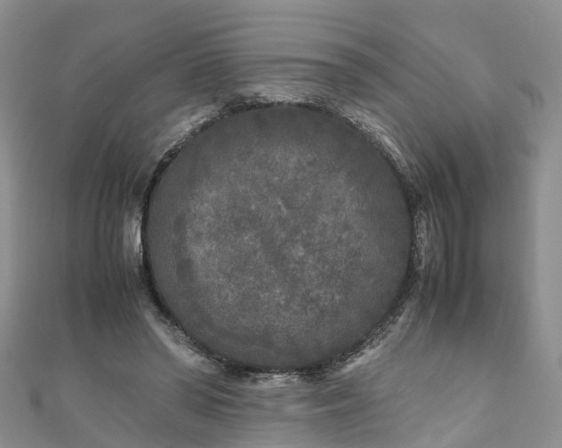 X0000110950398200906261325