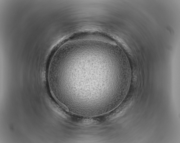 X0000110950399200906261325