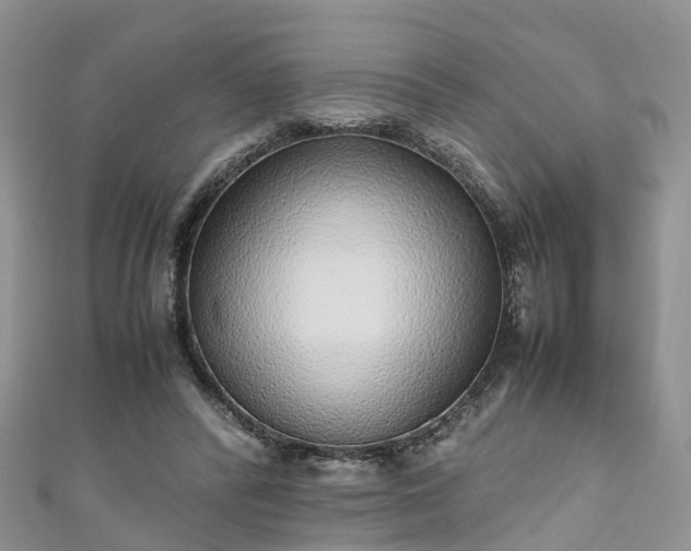 X0000110950400200906261325