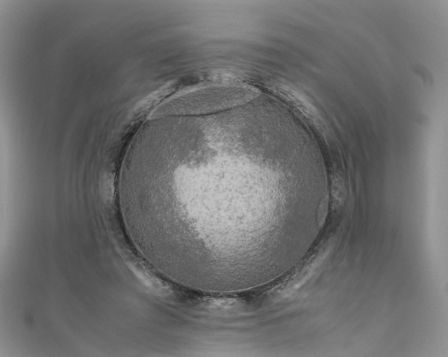 X0000110950401200906261325