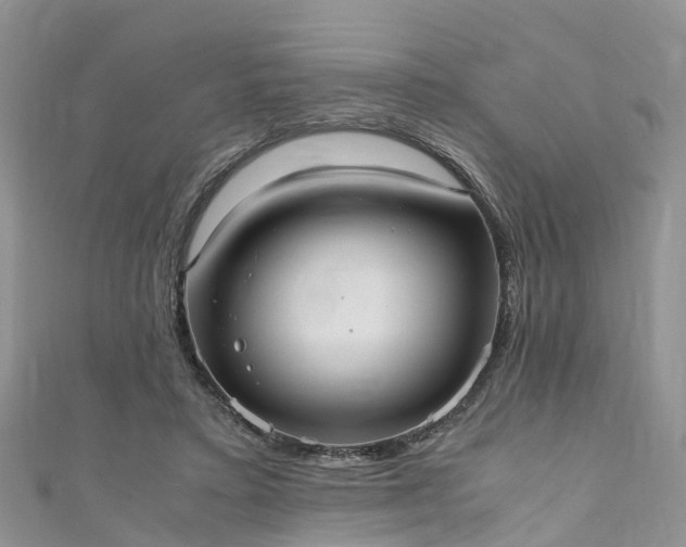 X0000110950403200906261325