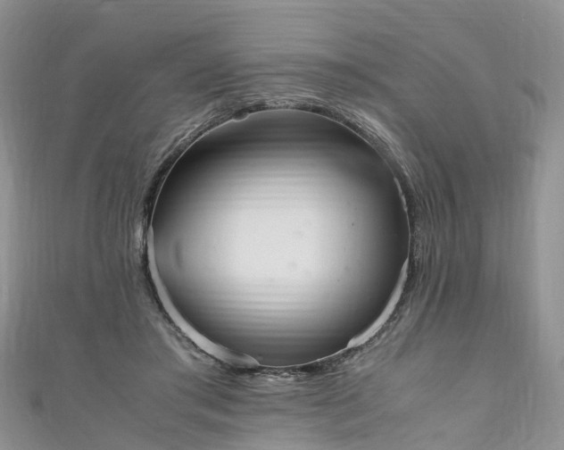 X0000110950405200906261325