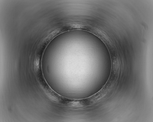 X0000110950406200906261325