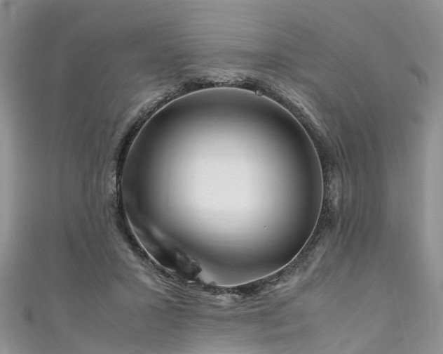 X0000110950407200906261325