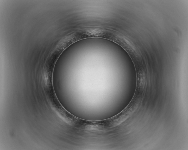 X0000110950408200906261325