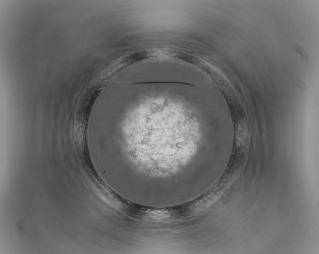 X0000110950409200906261325