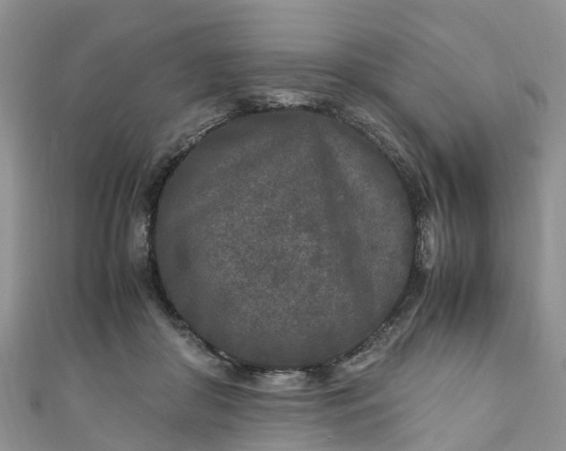 X0000110950410200906261325