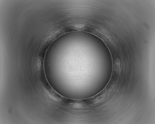 X0000110950412200906261325