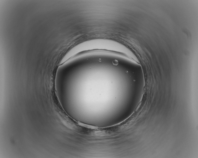 X0000110950413200906261325