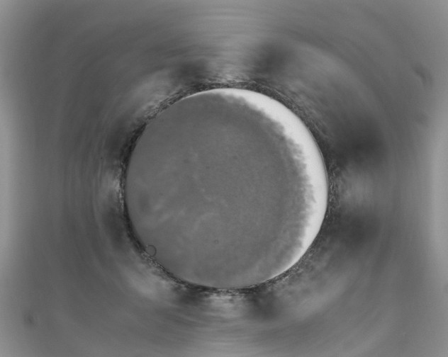 X0000110950415200906261325