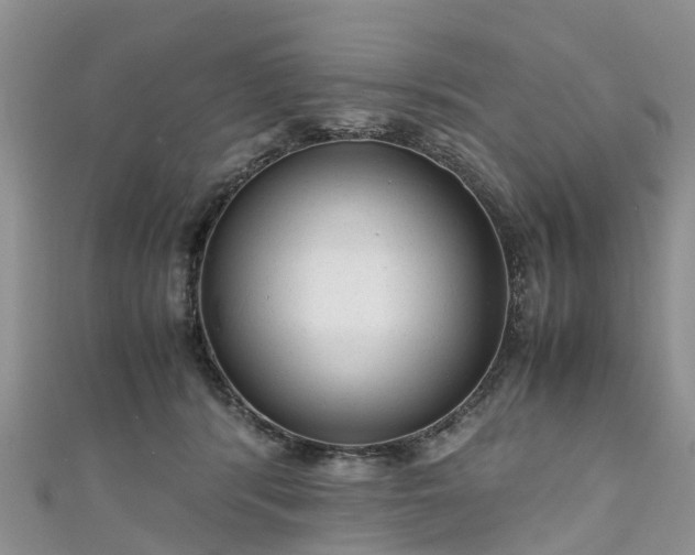 X0000110950416200906261325