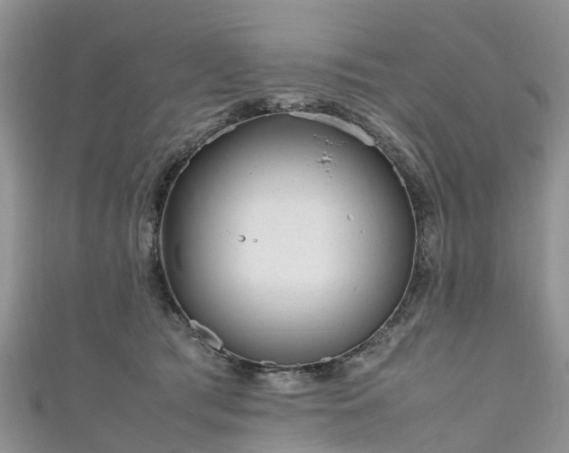 X0000110950417200906261325