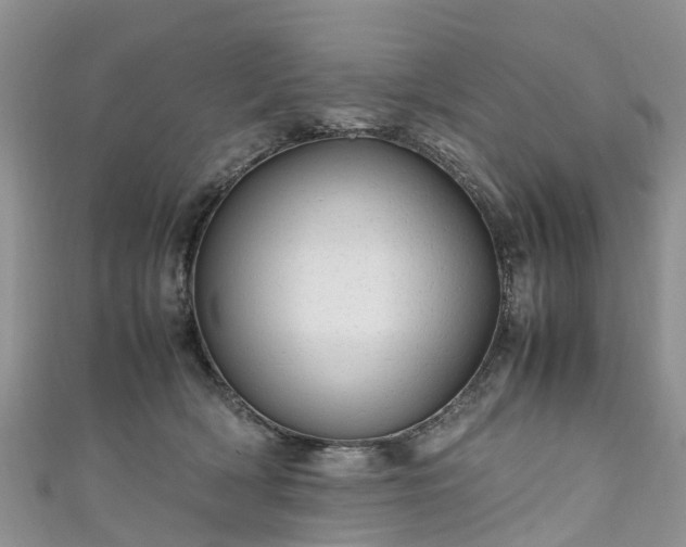 X0000110950418200906261324