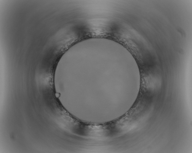 X0000110950419200906261324