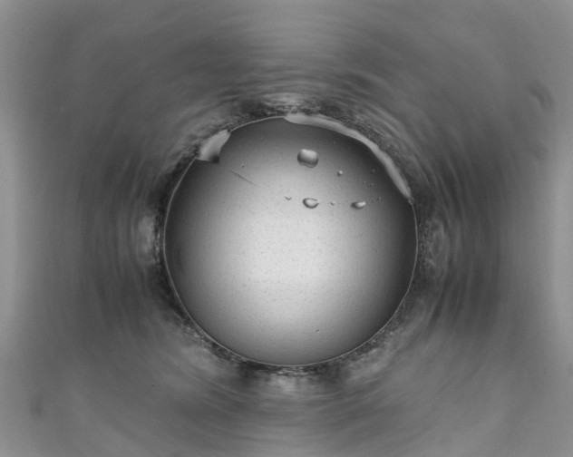 X0000110950420200906261324