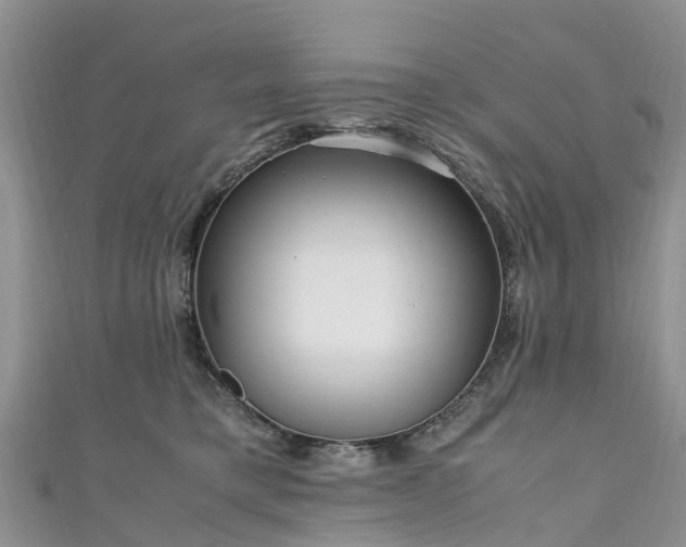 X0000110950421200906261324