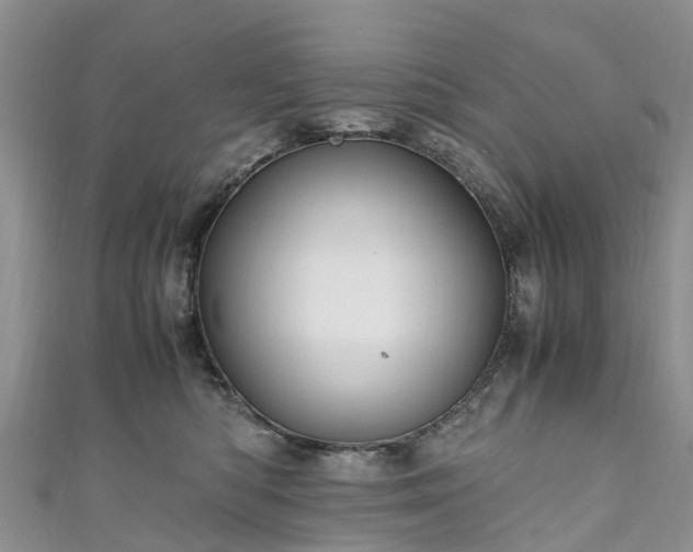 X0000110950422200906261324