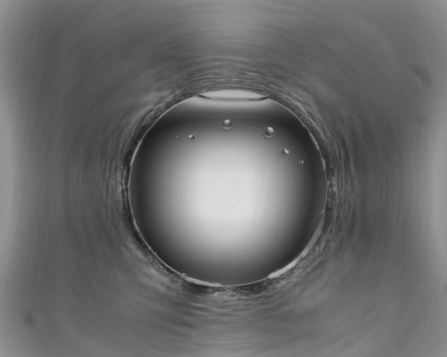 X0000110950423200906261324