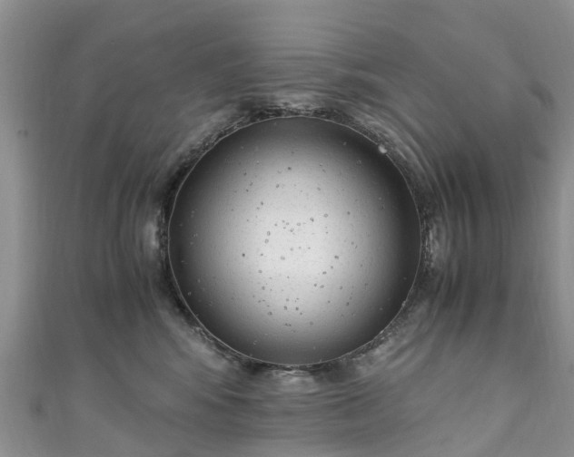 X0000110950424200906261324