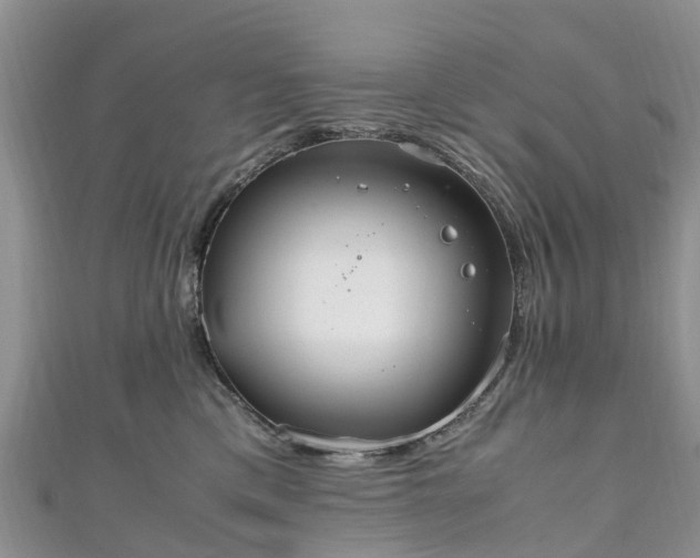 X0000110950425200906261324