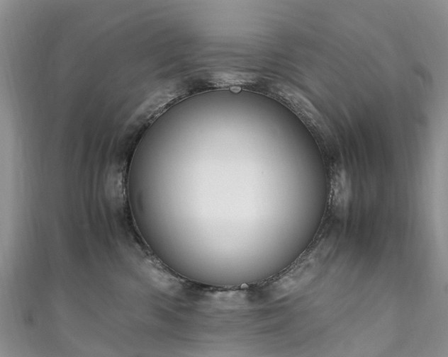 X0000110950426200906261324