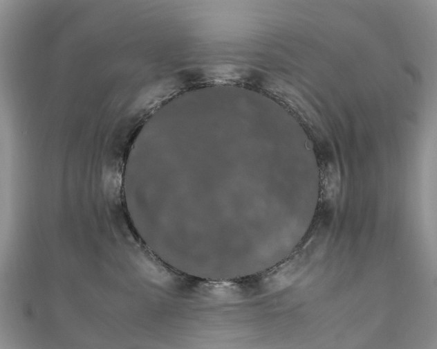 X0000110950427200906261324