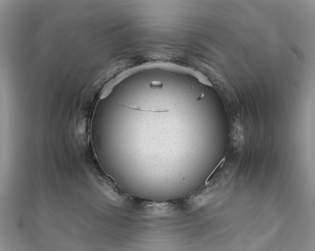 X0000110950428200906261324