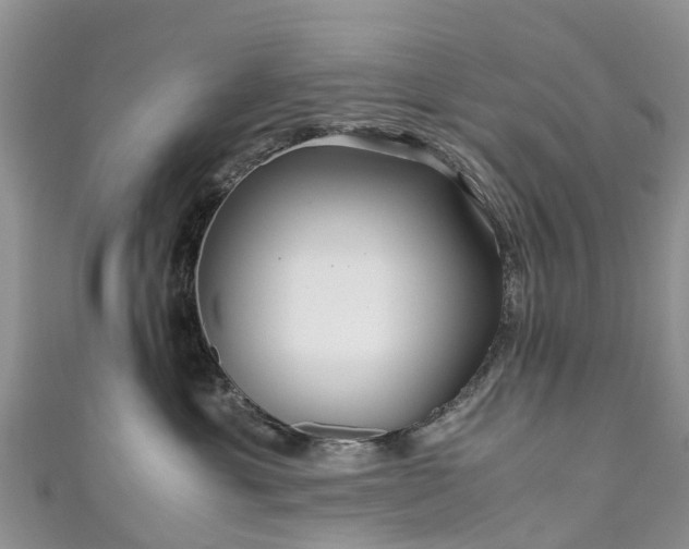 X0000110950429200906261324