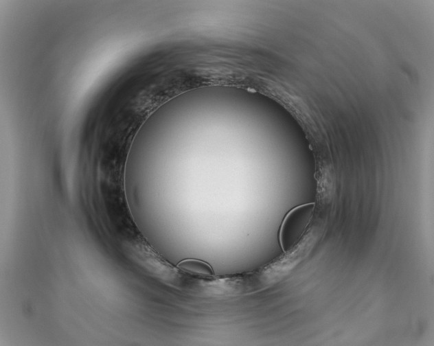 X0000110950430200906261324