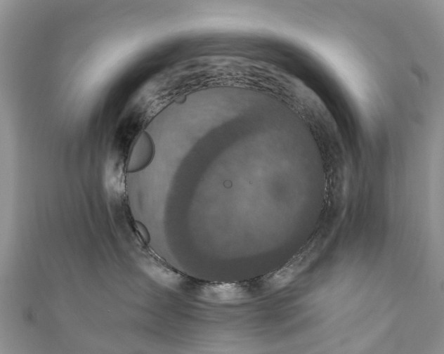 X0000110950431200906261324