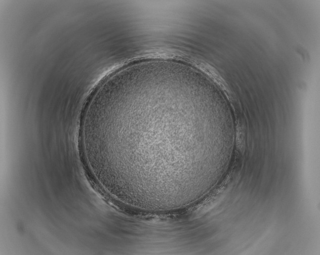 X0000110950434200906261324