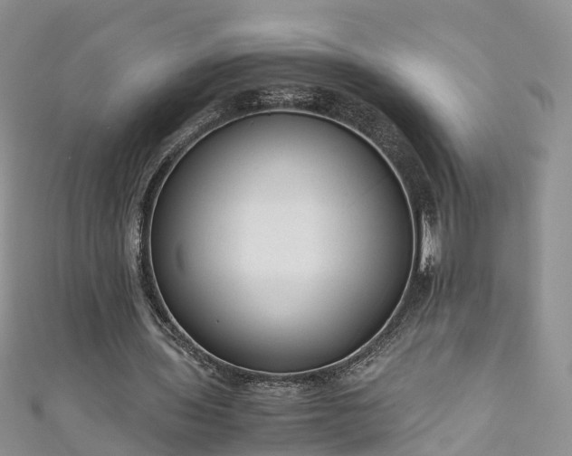 X0000110950435200906261324