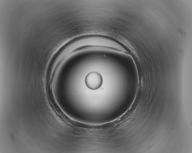 X0000110950436200906261324