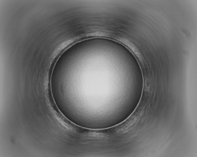 X0000110950437200906261324